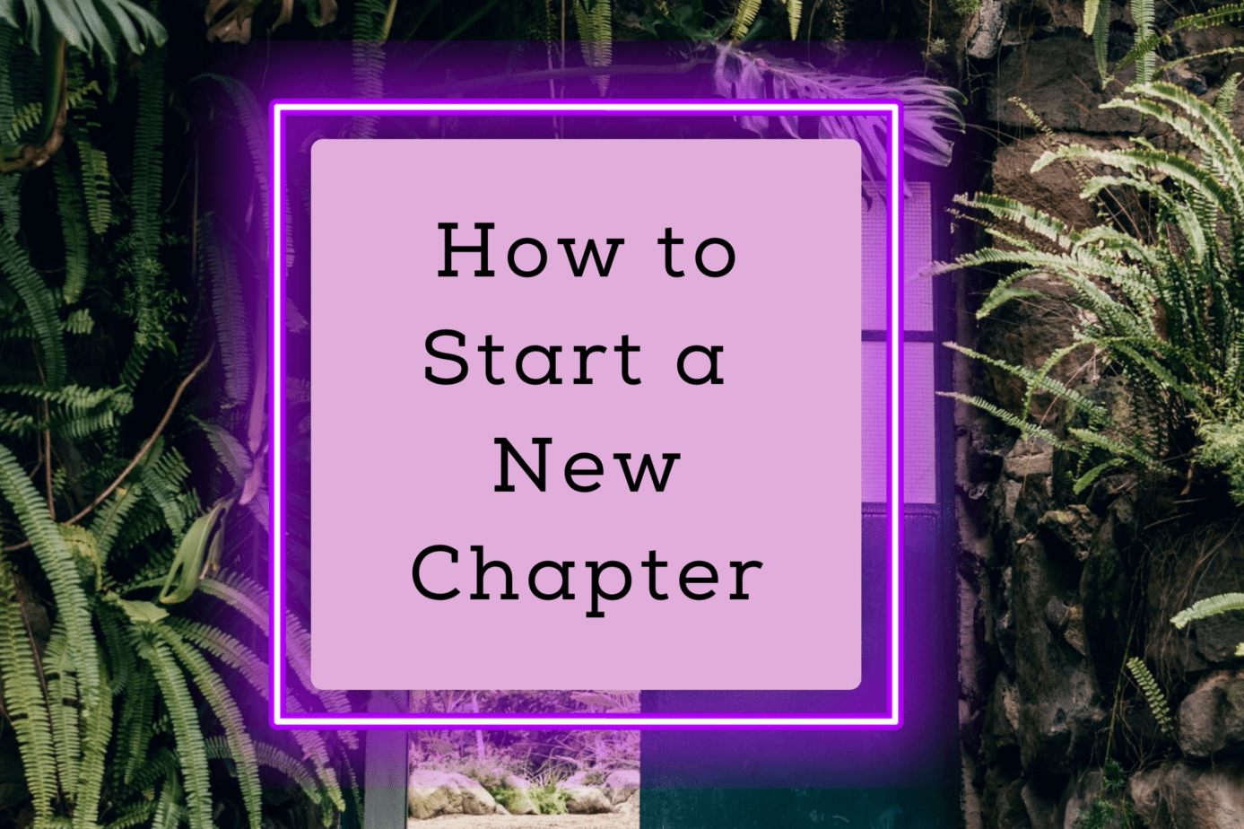 How To Start A New Chapter - La Vie De Jacquelyn