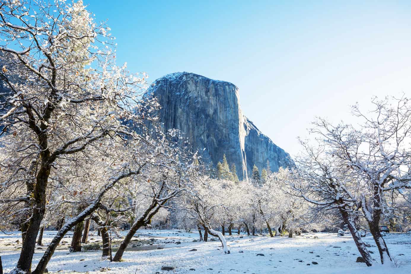 Best Snow Places To Visit In December In California