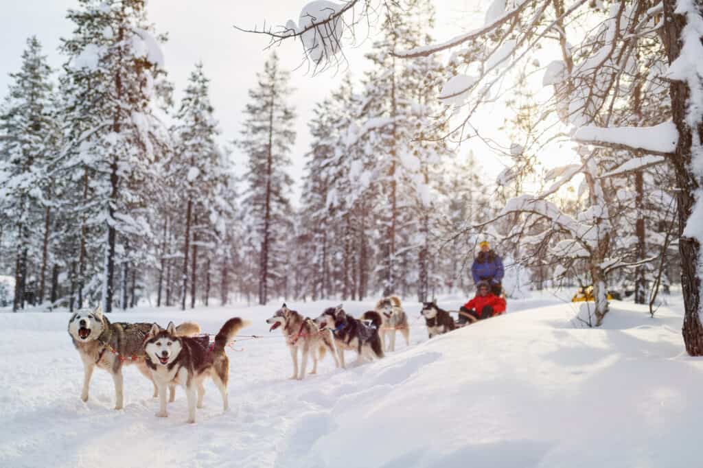 Ontario winter activities 2022