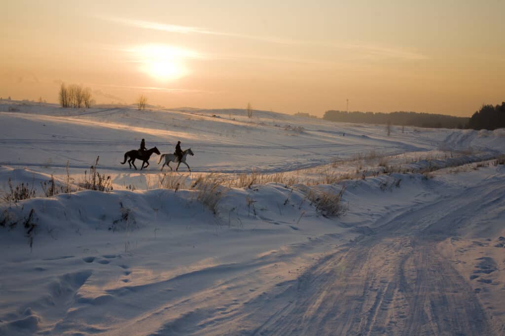 Things to do in Ontario Winter