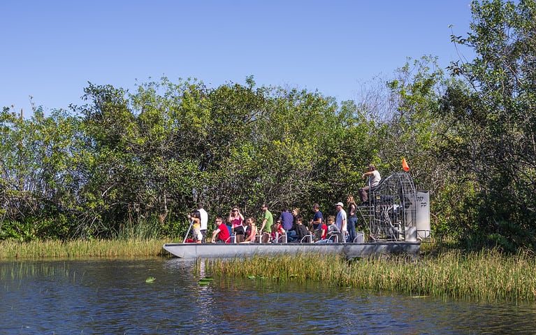 swamp boat tours New Orleans